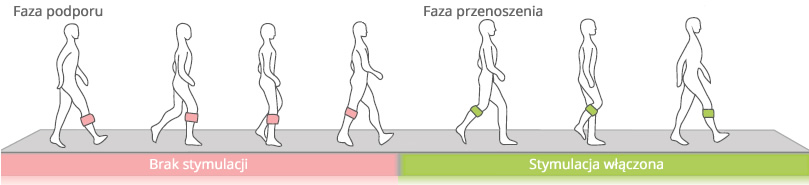 Ilustracja cyklu chodu